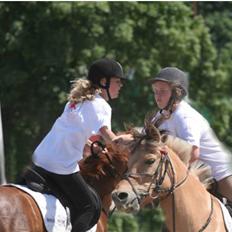 Fjordhest Klokkeblomst   * Solgt*