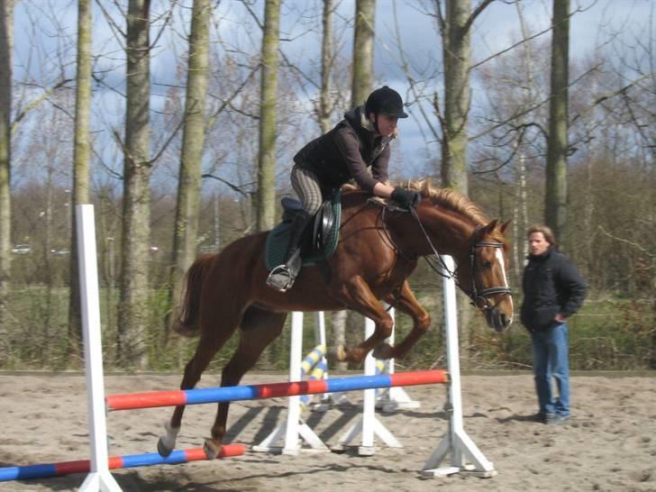 Fuldblod (XX) Giovanni - Opvarmning :) billede 10