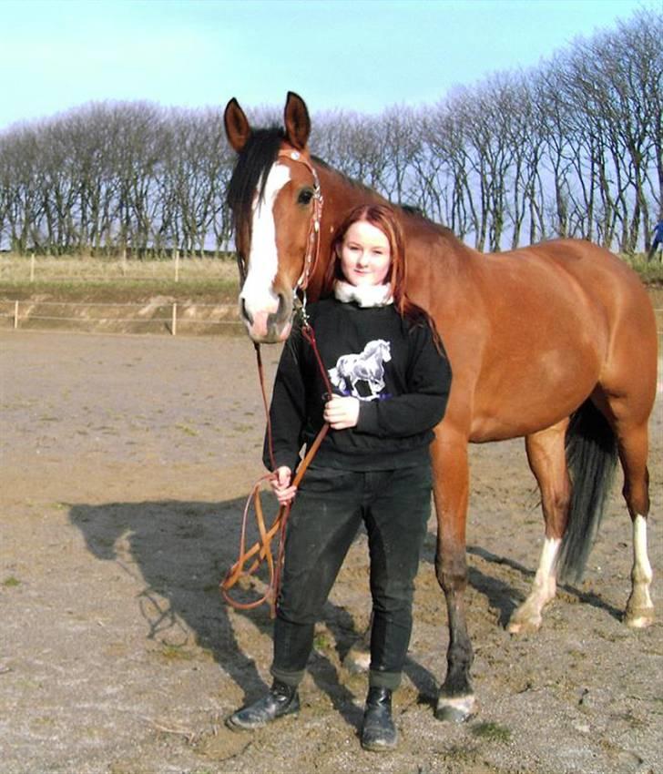 Sportsaraber (A) Boheme "solgt" - Boheme og miig på ridebanen.. <33 (kamera står på stolpe og er sat på tid) billede 14