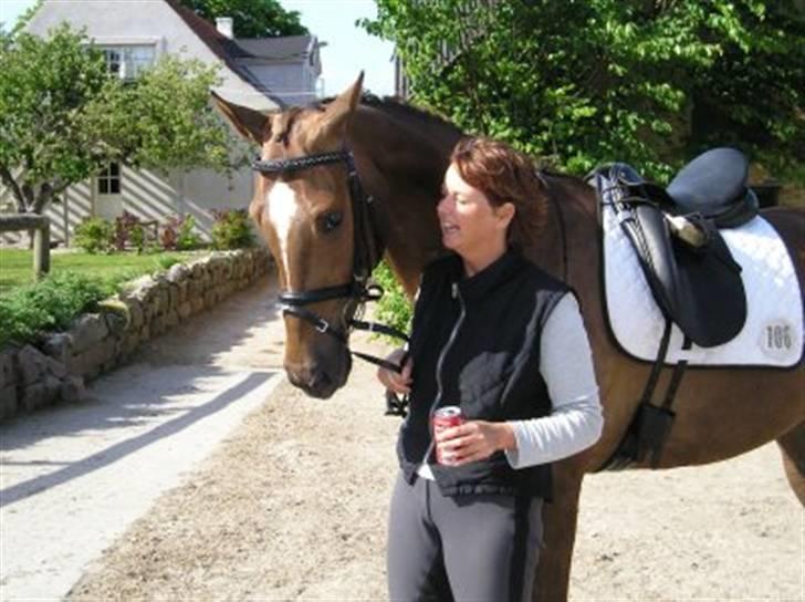 Dansk Varmblod Lindegårdens Juvel R.I.P  - Juvel og Mai-Britt til 4 års DSA - Allerup maj 2007 billede 4