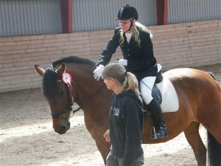 Anden særlig race Cheval Solgt - Springstævne d. 23 Maj 2009 billede 12