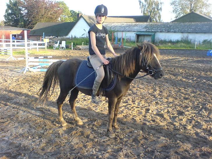 Anden særlig race Victor - Line og Victor i sommers billede 10
