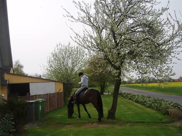 Traver Delvin Key - Mette&´Delvin <3 Skulle lige tjekke klokken .. HOV ! Det er spise tid . :b <33  billede 10