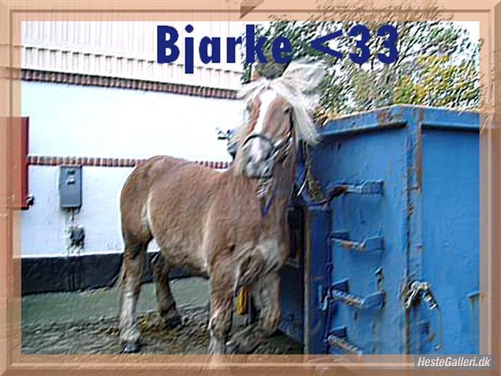 Jyde bjarke billede 7