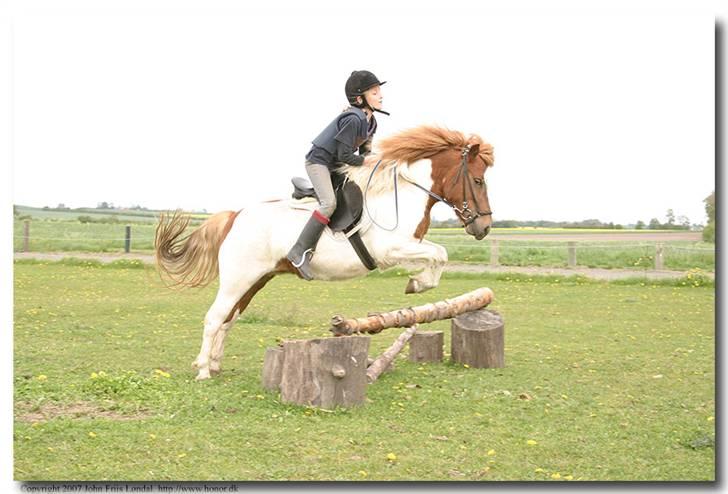 Anden særlig race Lilla - nogle af de første sping. billede 1