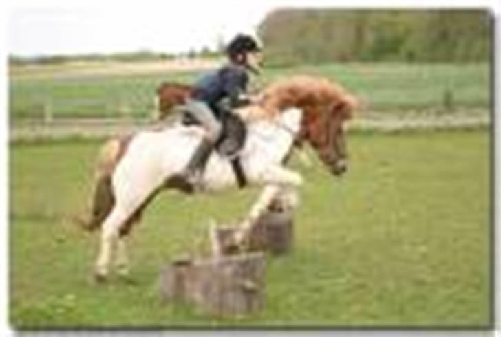 Anden særlig race Lilla billede 2