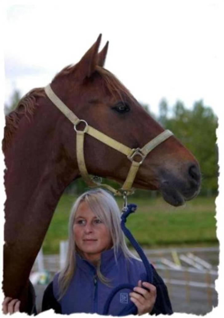 Dansk Varmblod Primera Duval - er vi ikke søte? billede 11