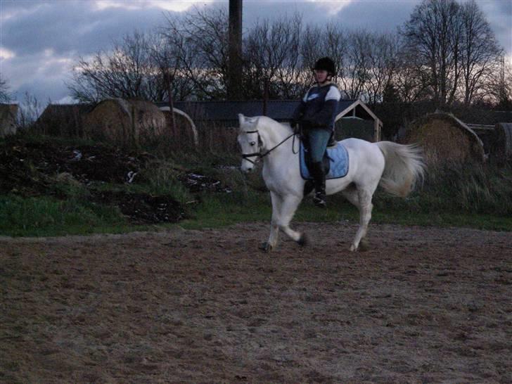 DSP Sokhøjgårds cabarè - Træning d. 12/11-2007. taget af: Amalie billede 12