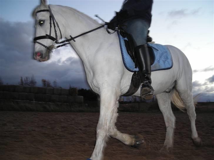 DSP Sokhøjgårds cabarè - Træning d. 12/11-2007. taget af: Amalie billede 14