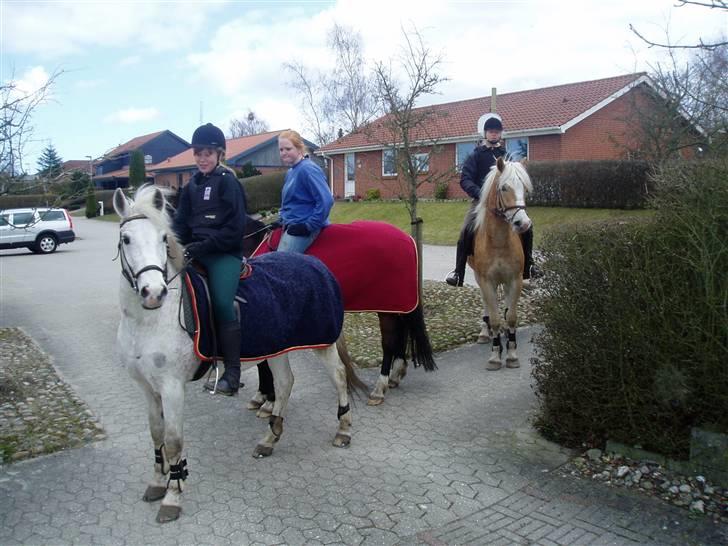 Anden særlig race Zafir - På tur med camilla og katrine(; billede 4