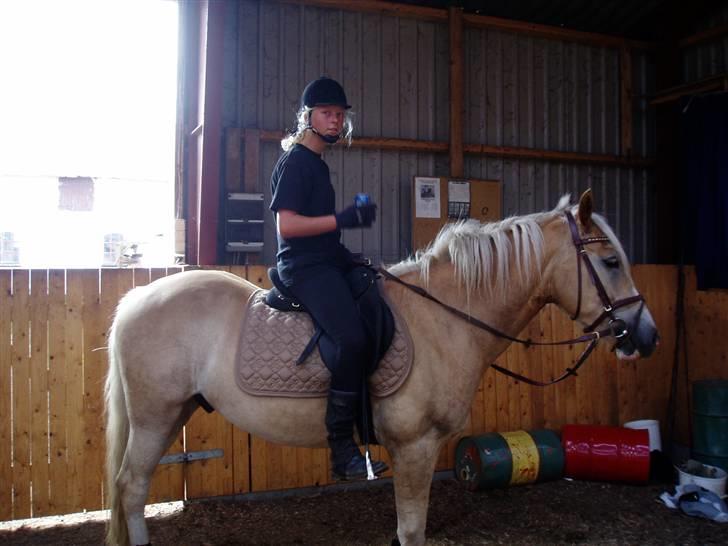Anden særlig race Zafir - Vi tager lige en pause[; billede 6