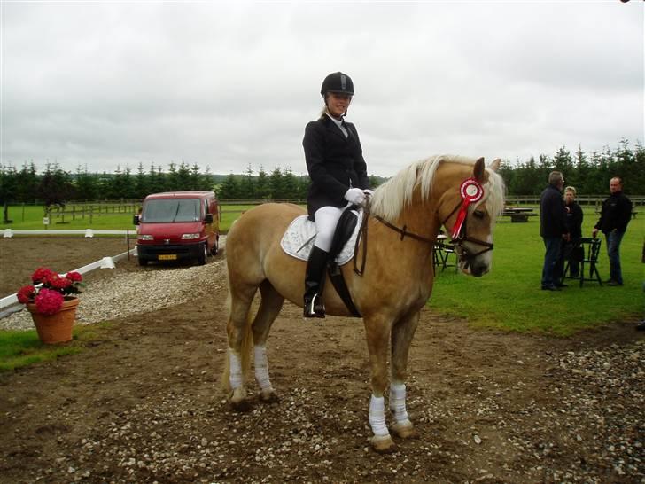 Anden særlig race Zafir - Vandt LC2<3 billede 8