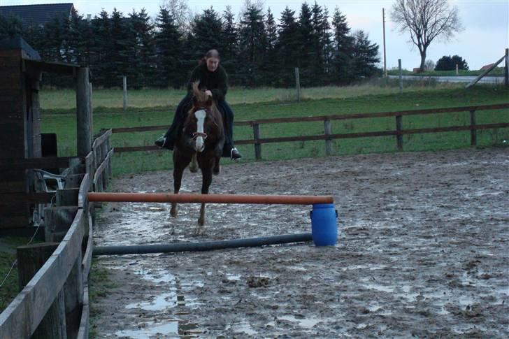 Anden særlig race chillie RIP - syntes det er dygtigt af hende det er kun 3 gang hun spriger billede 13