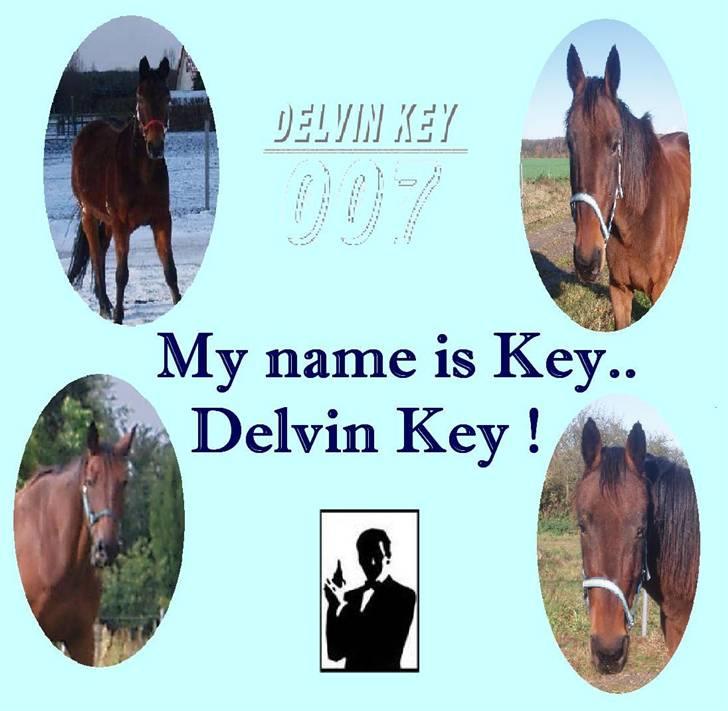 Traver Delvin Key billede 14