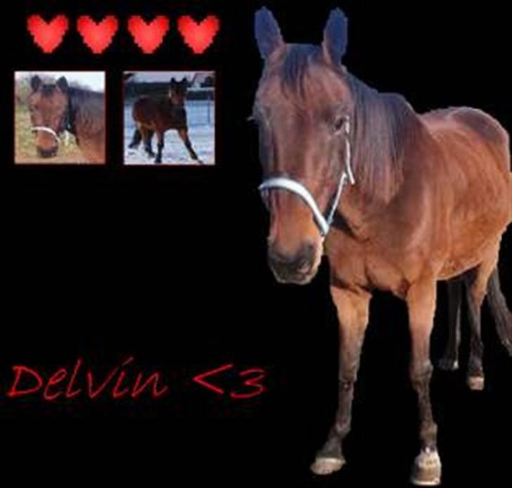 Traver Delvin Key billede 15