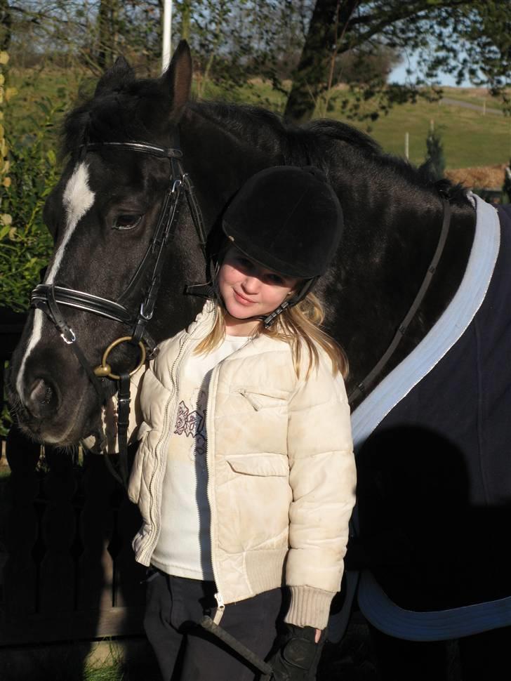 Anden særlig race Zappa Zar † - Super søde og dejlige Zappa :o) billede 11