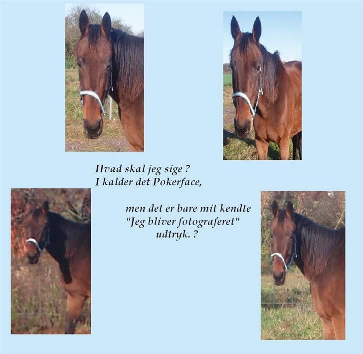 Traver Delvin Key billede 16