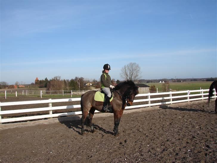 Anden særlig race Mr. smokie'  Mit Et & Alt - Mig & Smokie inden Spring-træningen  billede 4