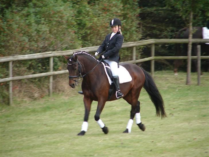 Anden særlig race Mr. smokie'  Mit Et & Alt - Guldpony :´) billede 5