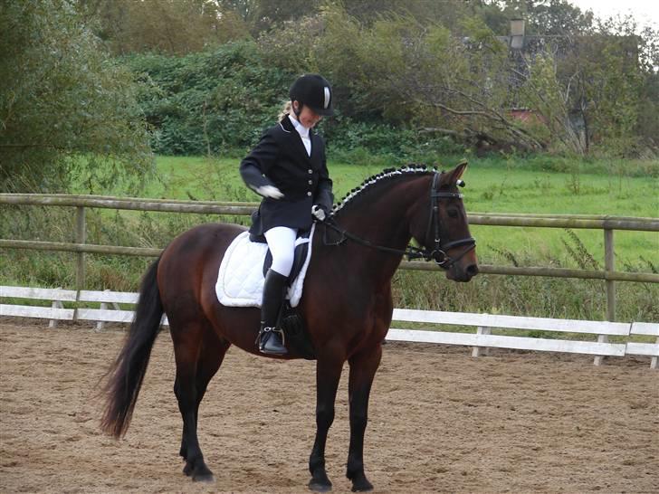 Anden særlig race Mr. smokie'  Mit Et & Alt - Jeg elsker dig øjesten :´) billede 6