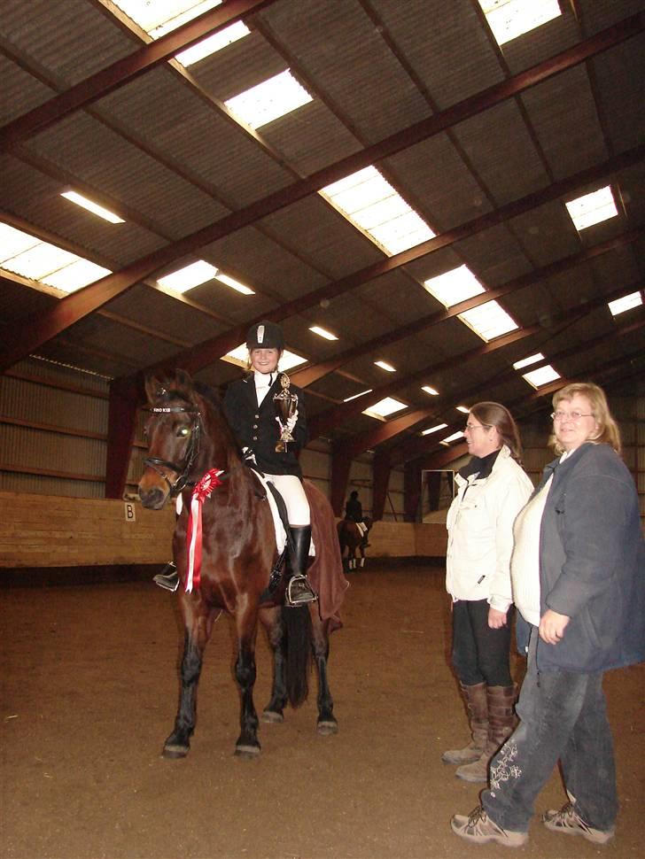 Anden særlig race Mr. smokie'  Mit Et & Alt - Klubmestre GSPR, Har aldrig været mere stolt :´) billede 11