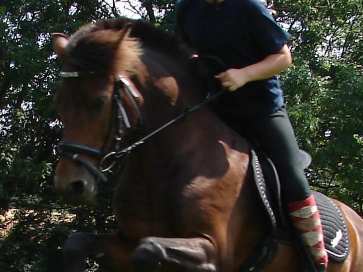 Anden særlig race Mr. smokie'  Mit Et & Alt - Tykke´drengen :* billede 12