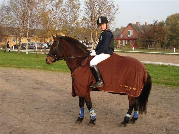 Anden særlig race Mr. smokie'  Mit Et & Alt - smokie :* billede 14