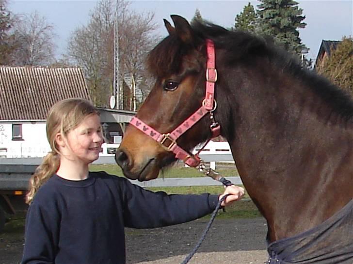 Anden særlig race Mr. smokie'  Mit Et & Alt - lille´put :* billede 15