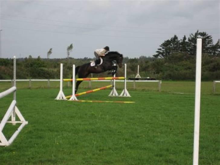 Holstener Axel billede 11