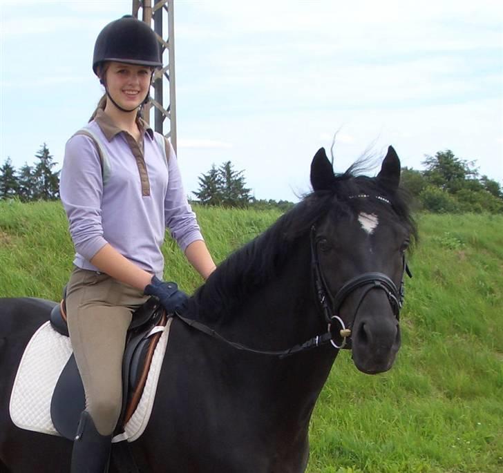 Tysk Sportspony Power Play II billede 5