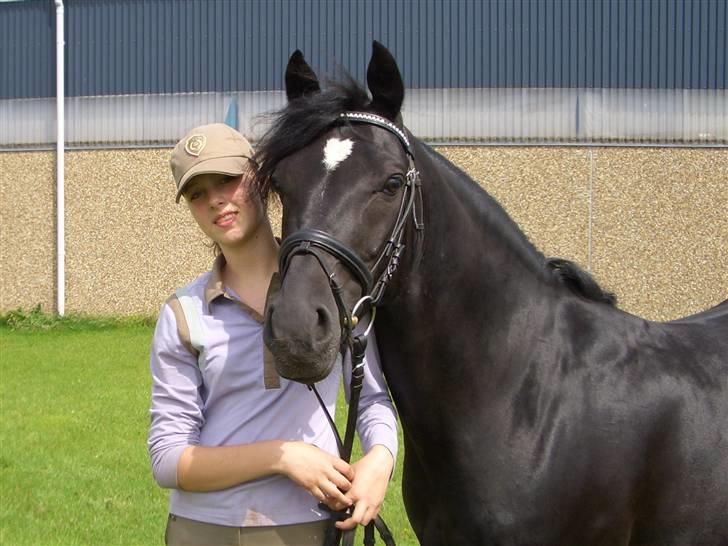 Tysk Sportspony Power Play II billede 14