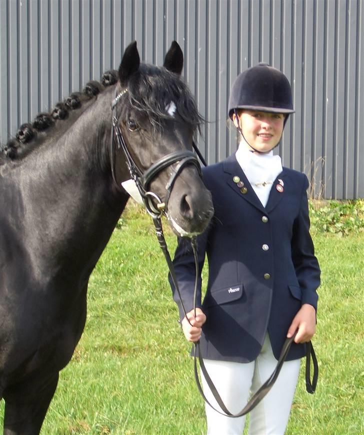 Tysk Sportspony Power Play II billede 18