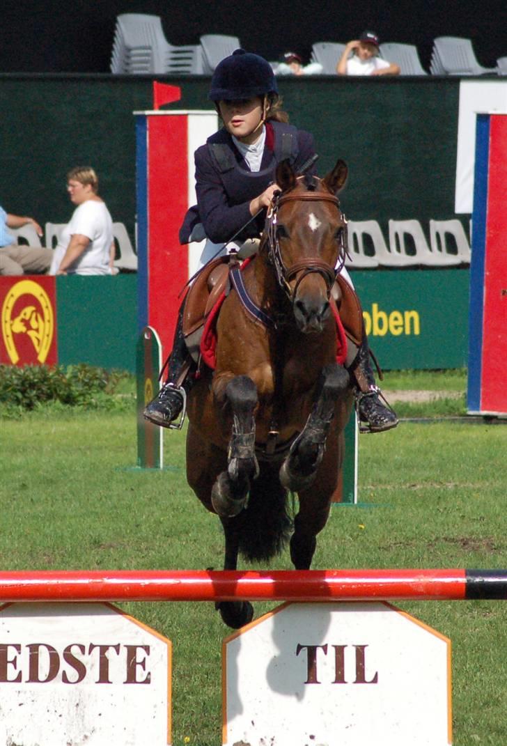 Hollandsk Sportspony Sheik  (SOLGT) - Sheik og Zelina, destriktsmester D1, Parken 2006 billede 14