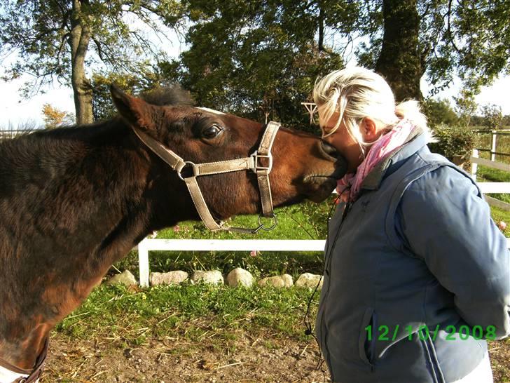 New Forest »{Miss Tanja }« † 04-05-09 † - Kiss kiss <3 billede 13