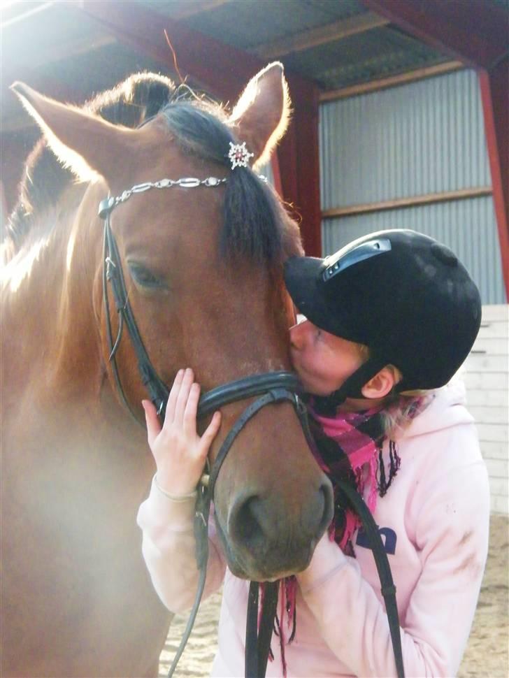 Anden særlig race Cheval Solgt - <3 August 2009 billede 19