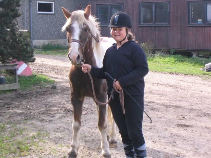 Pinto Mr Jamie (rider ik mere) - harij:D billede 10
