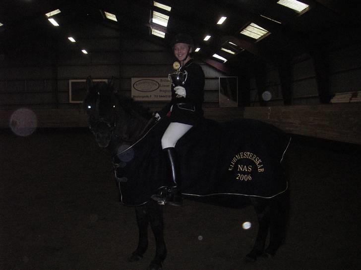 New Forest SOLGTBrentebjergs Toshiba - Klubmester :D billede 3