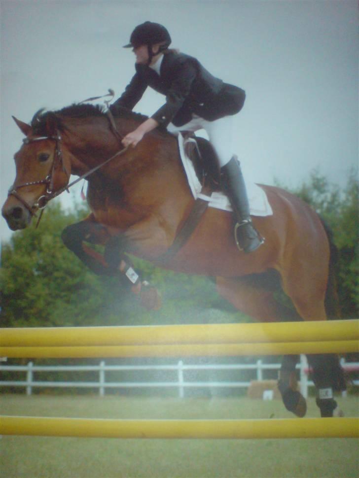 Hollandsk Sportspony .•°Pheobee- elsker diq°•. - La spring til stævne.. Elsker dig Pheobee<33 billede 15