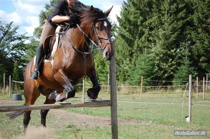 Anden særlig race Amazing Star - muller & mig :D billede 4