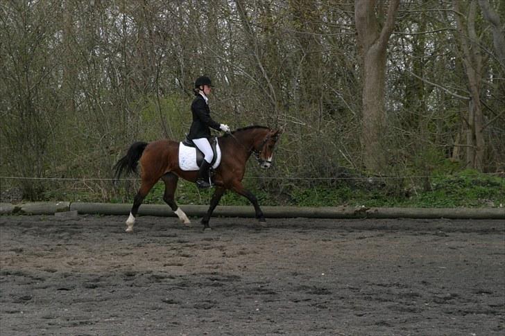 DSP Flicka -solgt- billede 1