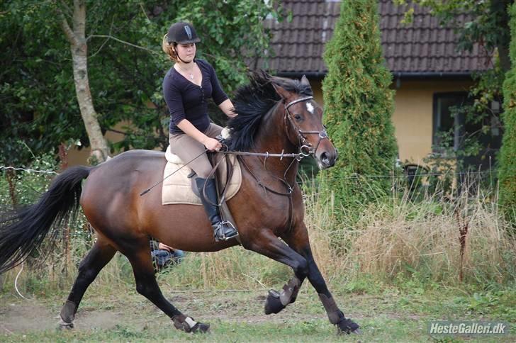 Anden særlig race Amazing Star - hygge <3´ billede 8