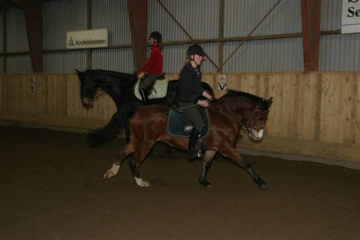 DSP Flicka -solgt- billede 2