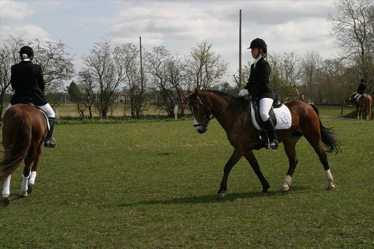 DSP Flicka -solgt- - pcr 240410 billede 4