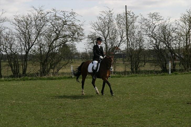 DSP Flicka -solgt- billede 5