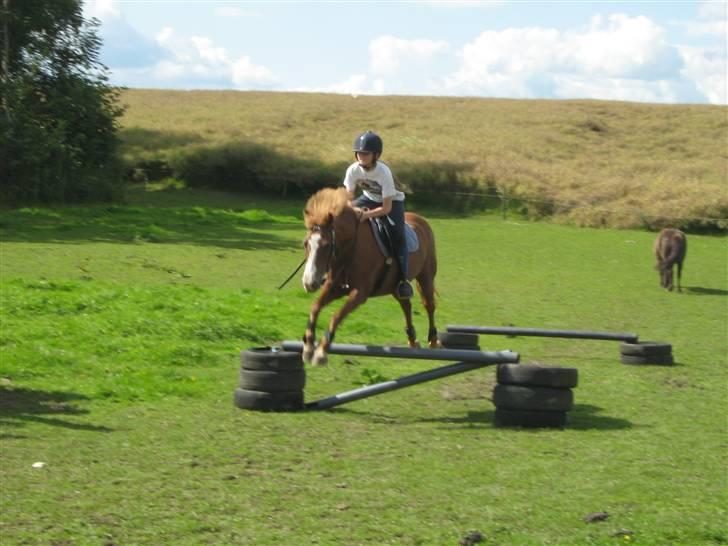 Anden særlig race Rosita solgt :´(   - Min gamle pony<3<3 Foto : Min mor billede 3