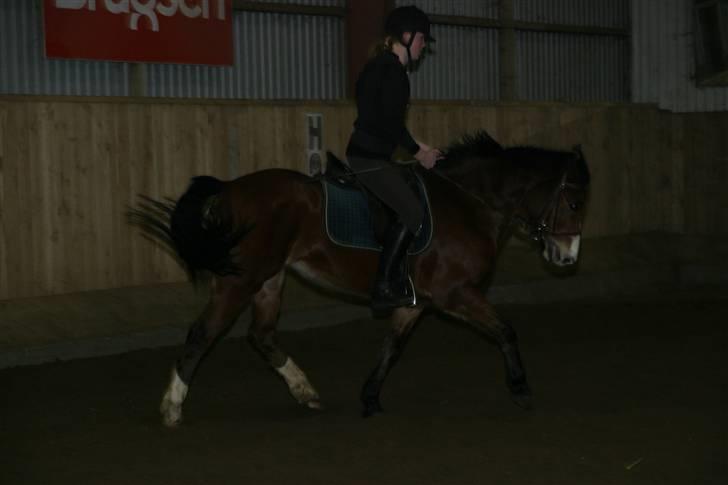 DSP Flicka -solgt- billede 7