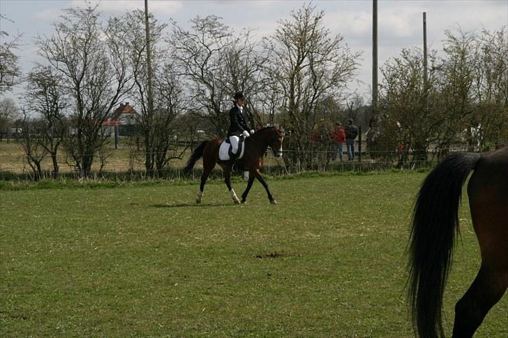 DSP Flicka -solgt- billede 9