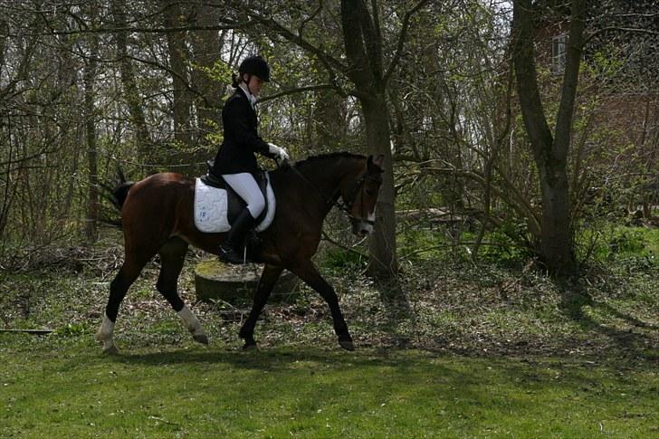 DSP Flicka -solgt- billede 10