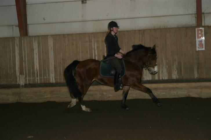 DSP Flicka -solgt- billede 11