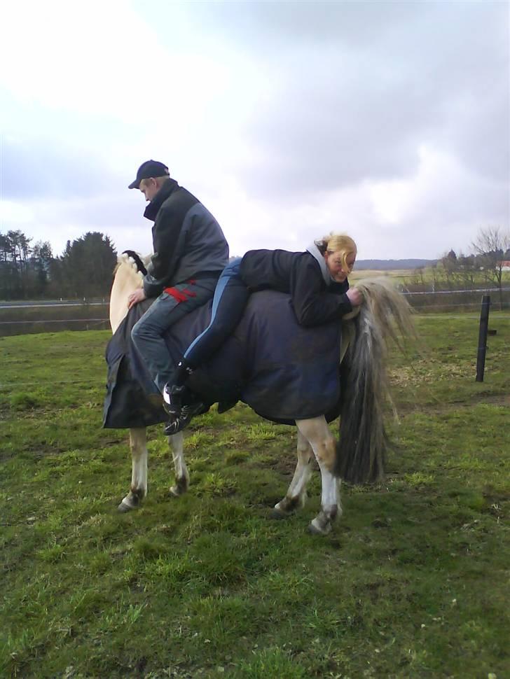 Fjordhest *Samson af Engholm* <3 <3 **SOLGT** - Fjolle med min baby..... :o).. billede 3
